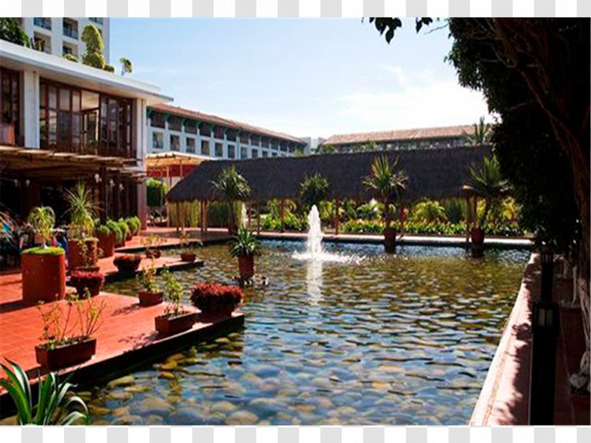 Meliá Puerto Vallarta Resort Town Hotels International Buganvilias - Flower - Vacation Transparent PNG