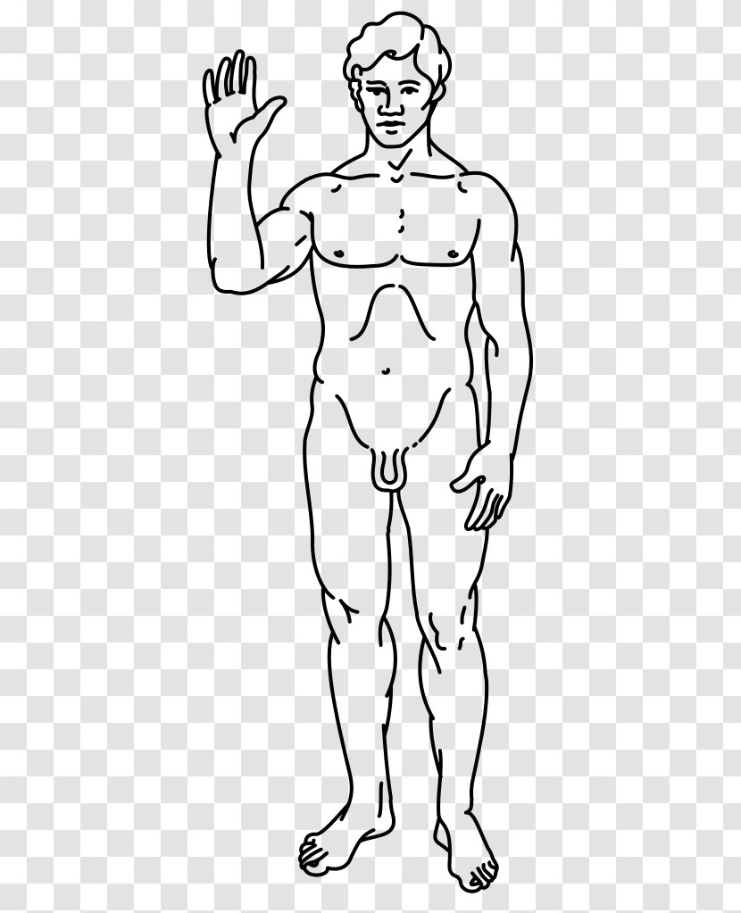 Pioneer Plaque Homo Sapiens Male Man Program - Heart Transparent PNG