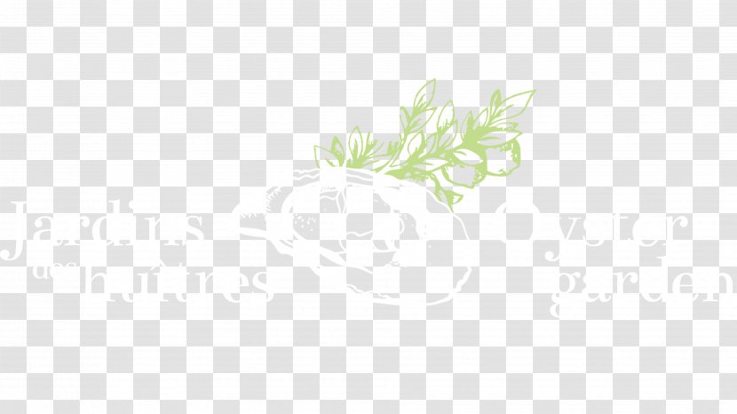 Desktop Wallpaper Grasses Leaf Plant Stem Font - Grass Transparent PNG