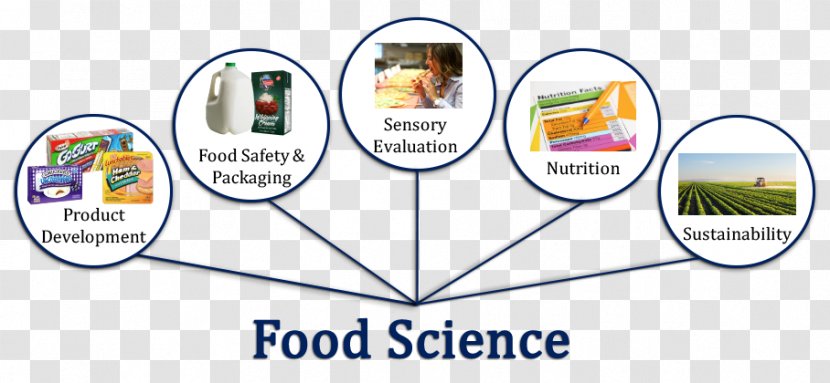 Food Science Technology Scientist - Physics Transparent PNG