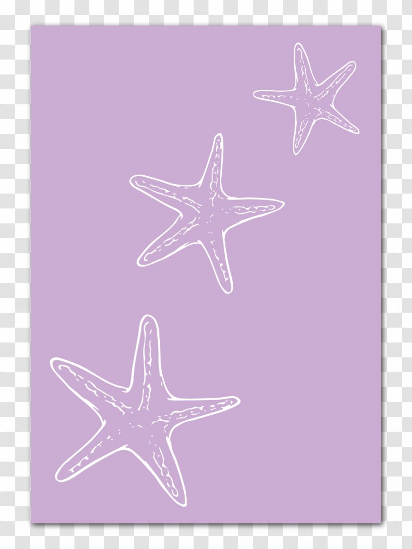 Starfish Line Pink M - Violet Transparent PNG
