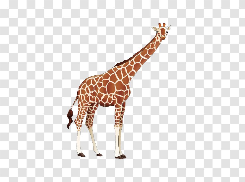 Giraffe Cartoon - Mammal - Yellow Transparent PNG