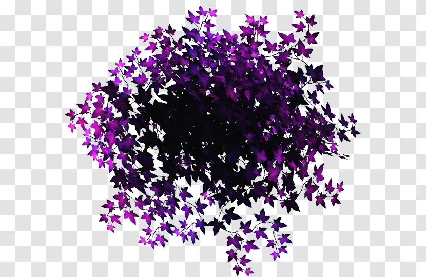 Petal Violet Leaf - Cartoon - Purple Leaves Transparent PNG