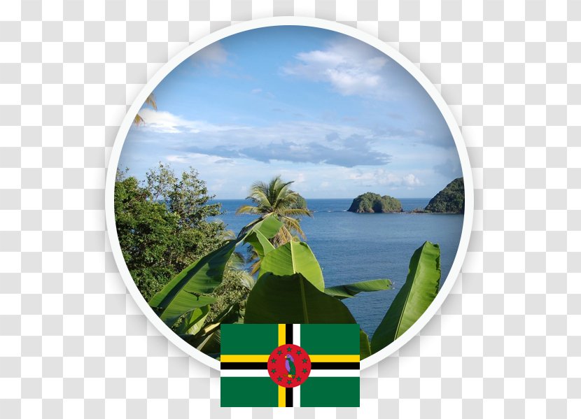 Dominica Saint Lucia Martinique Island Grenada - Hotel Transparent PNG