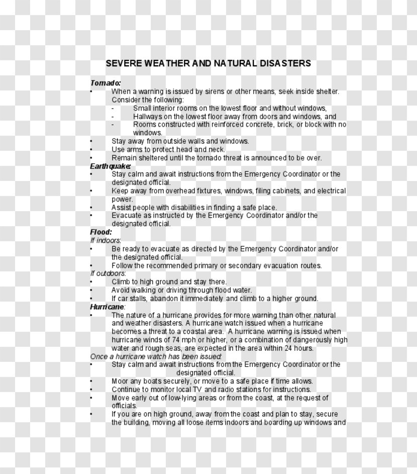 Document Disaster Plan Template Action - ACTION PLAN Transparent PNG