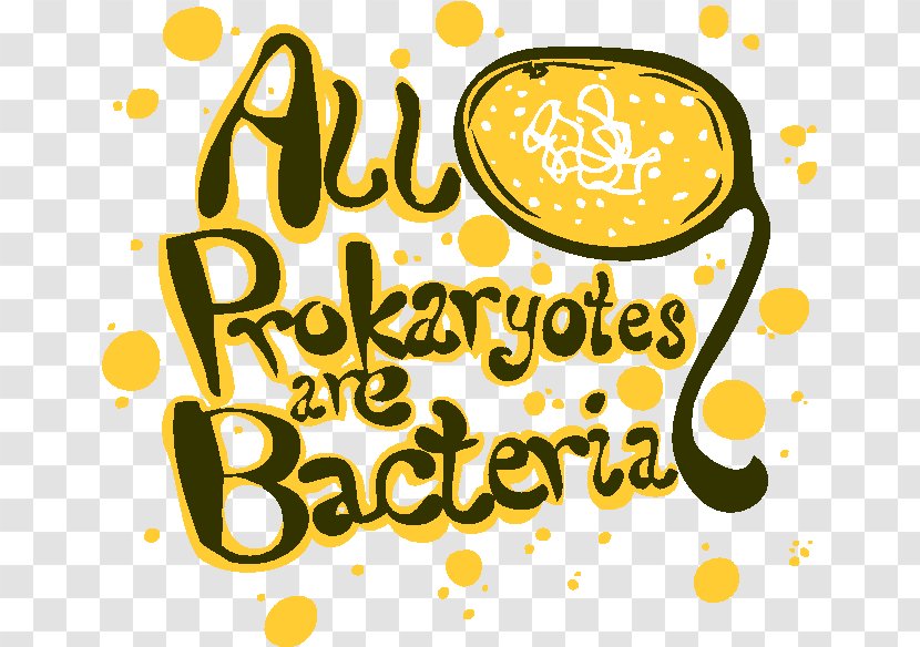Clip Art Illustration Prokaryote Microbiology Bacteria - Microorganism - Banner Transparent PNG