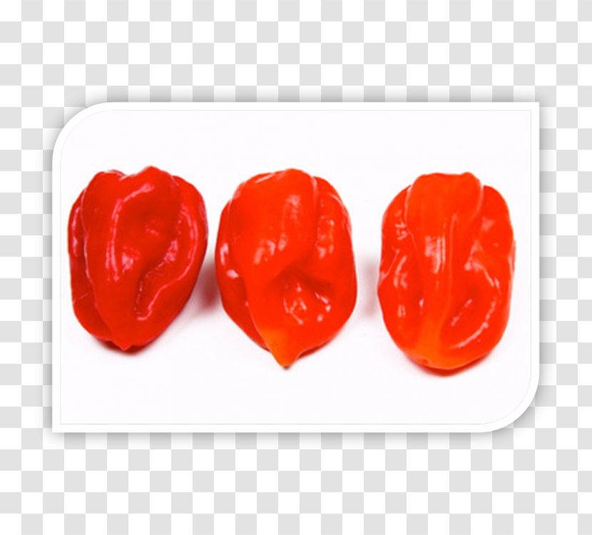 Stuffed Peppers Chili Pepper Bell Paprika Espelette - Vegetable Transparent PNG