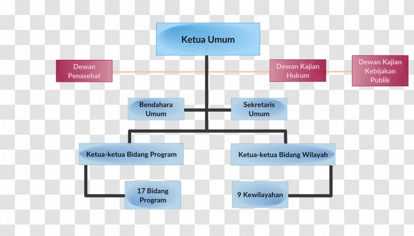 Ikatan Notaris Indonesia Organizational Structure Notary - Directorate General Of Immigration - Struktur Organisasi Transparent PNG