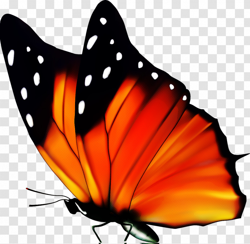 Monarch Butterfly Transparent PNG