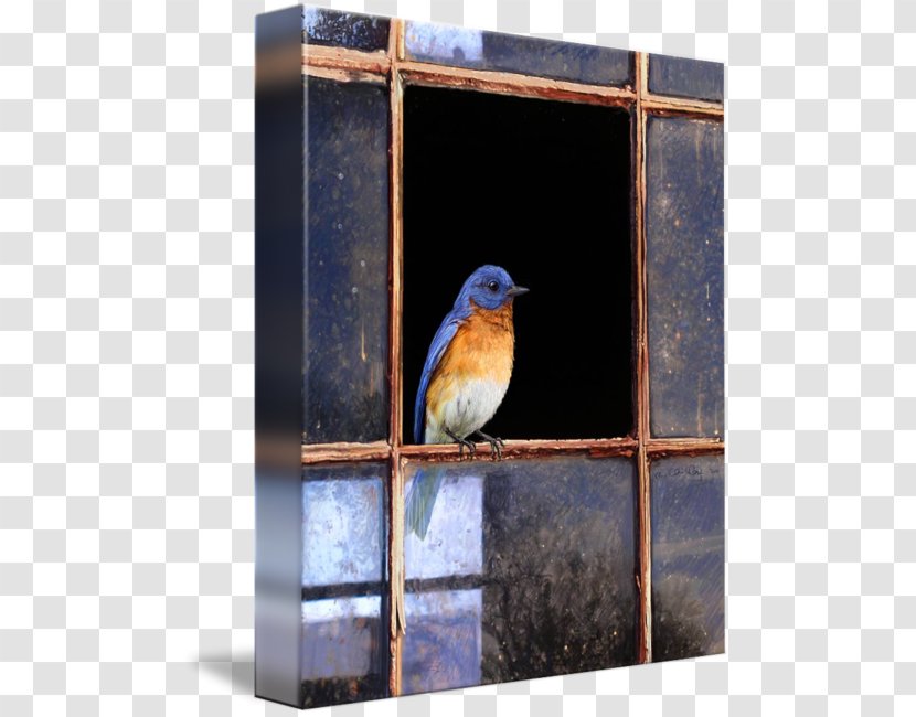 Eastern Bluebird Mountain Of Happiness Window - Art Transparent PNG
