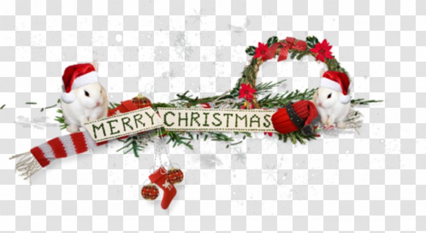 Santa Claus Blog Christmas Ornament - Directory Service Transparent PNG
