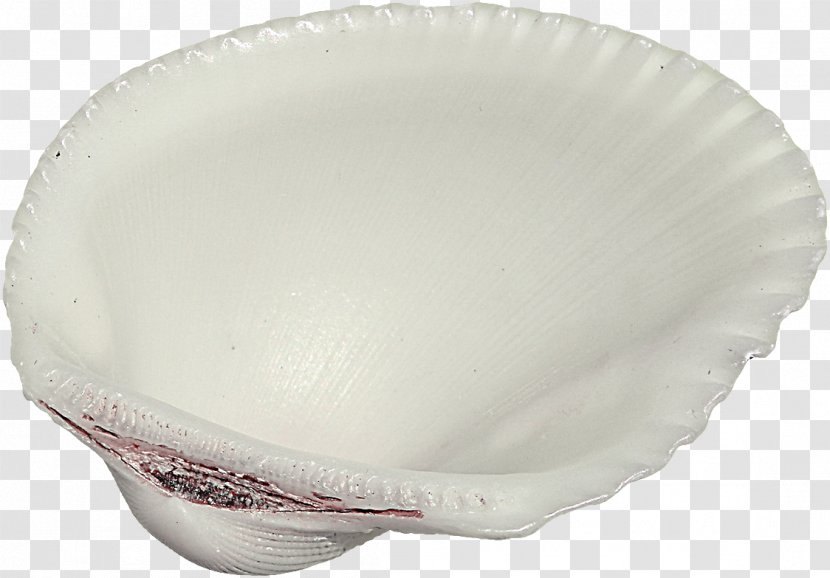 Seashell Clam Scallop - Floating Decorative Sea Shells Pattern Transparent PNG