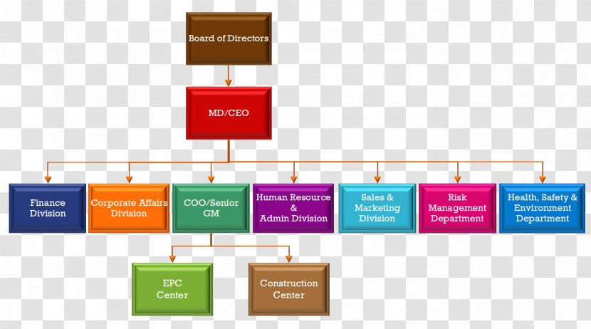 Organizational Chart Diagram Chief Executive Management - Operating Officer - Natural Environment Transparent PNG