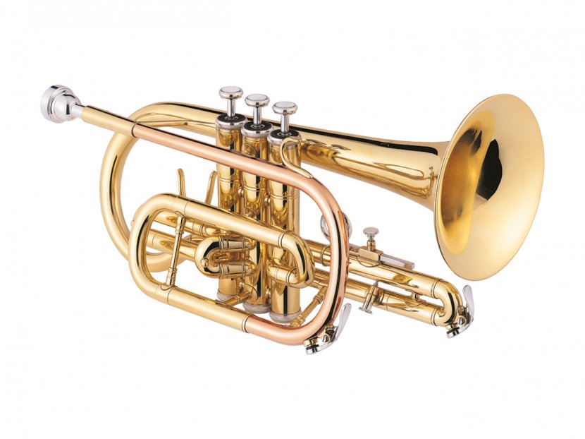 Cornet Trumpet Brass Instrument Valve Instruments Clarinet - Cartoon - Saxophone Transparent PNG
