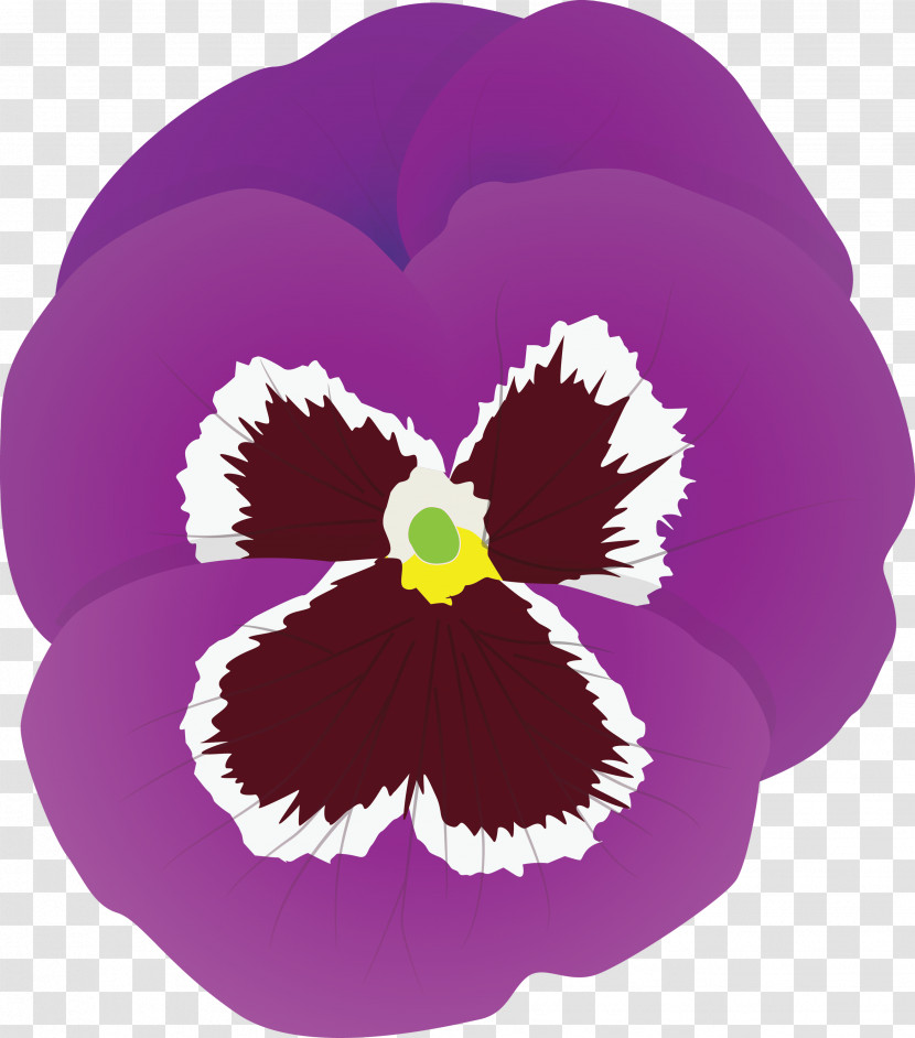 PANSY Spring Flower Transparent PNG