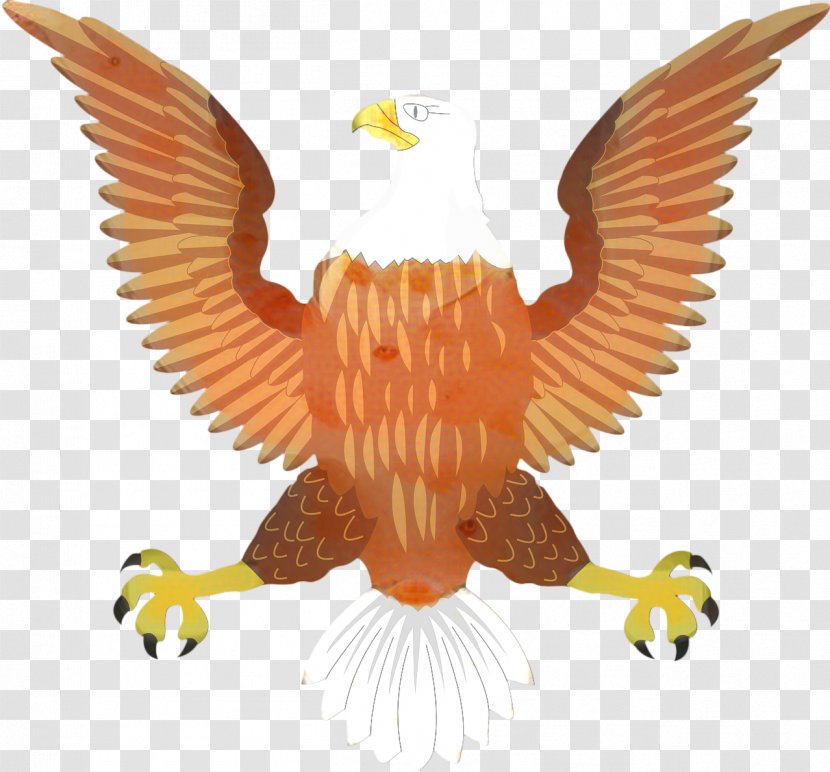 Bird Logo - Falcon - Redtailed Hawk Vulture Transparent PNG