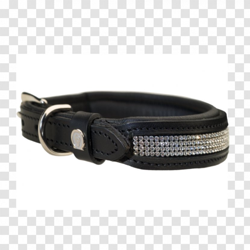 Belt Buckles Dog Collar - Crystal Transparent PNG