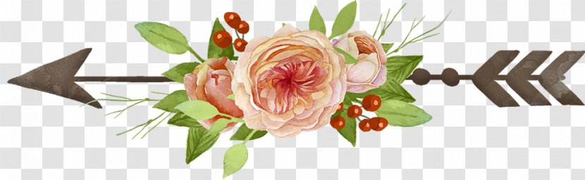 Garden Roses Drawing Clip Art - Flora - Arrow Transparent PNG