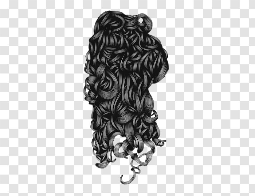 Clip Art Hair Drawing Image Transparent PNG