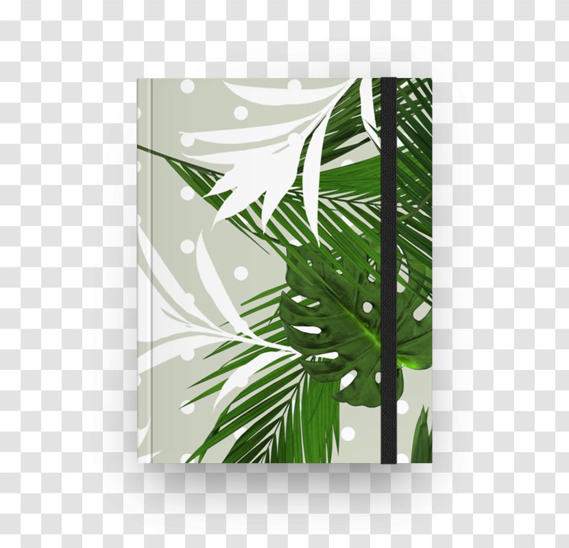Rectangle Leaf - Tree - Jungle Geranium Transparent PNG