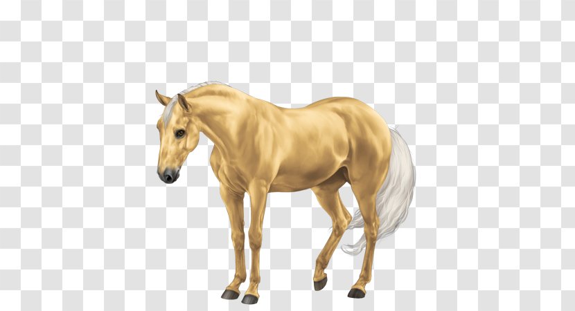 Mane Mustang Mare Stallion American Quarter Horse Transparent PNG
