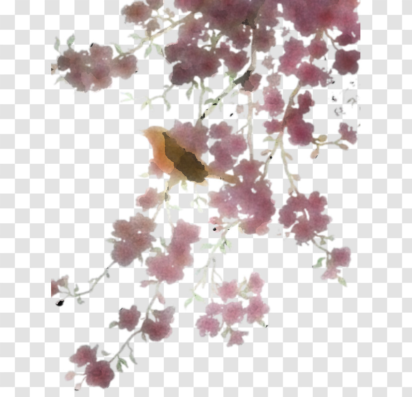 Branch Lilac Pink Flower Plant Transparent PNG
