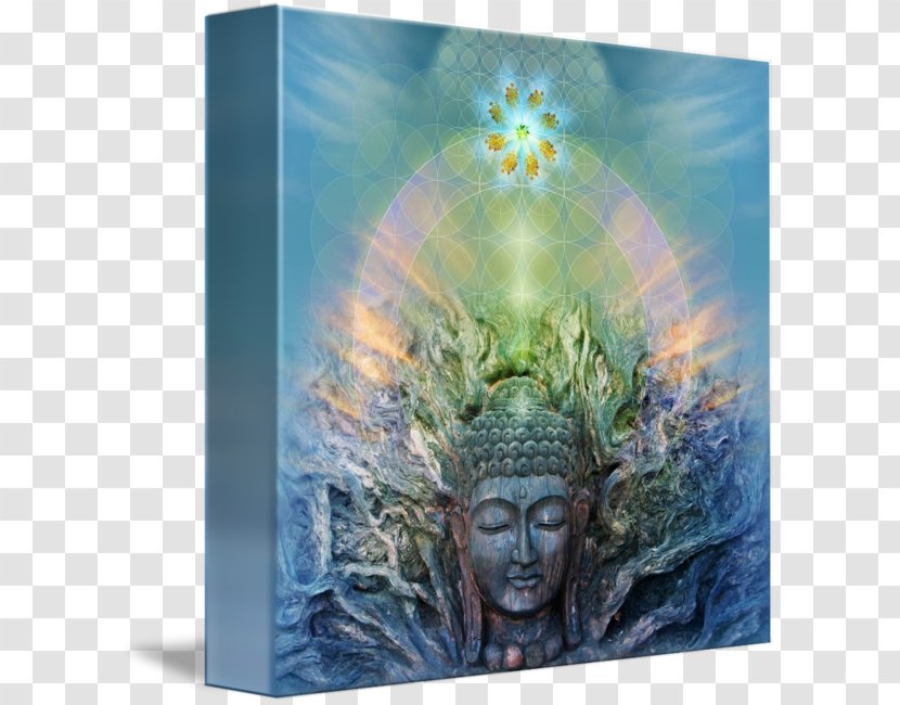 Gloria Owens Gallery Wrap Canvas Stock Photography - Art - Enlightened Transparent PNG