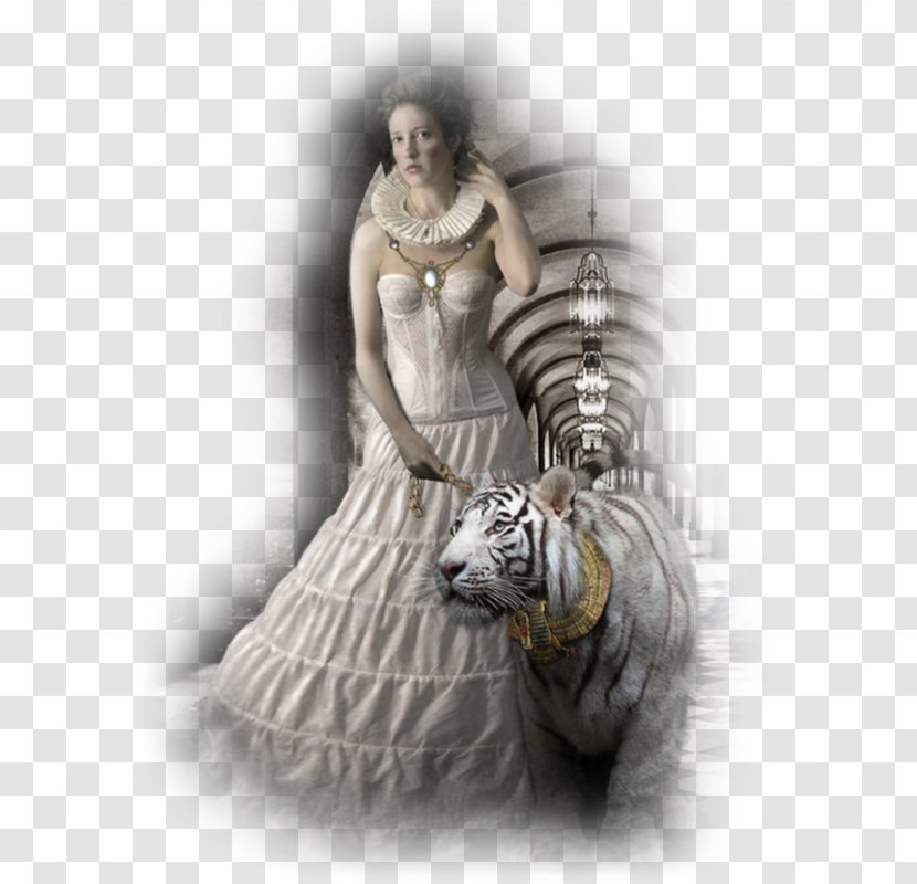Woman White Tiger - Photography Transparent PNG