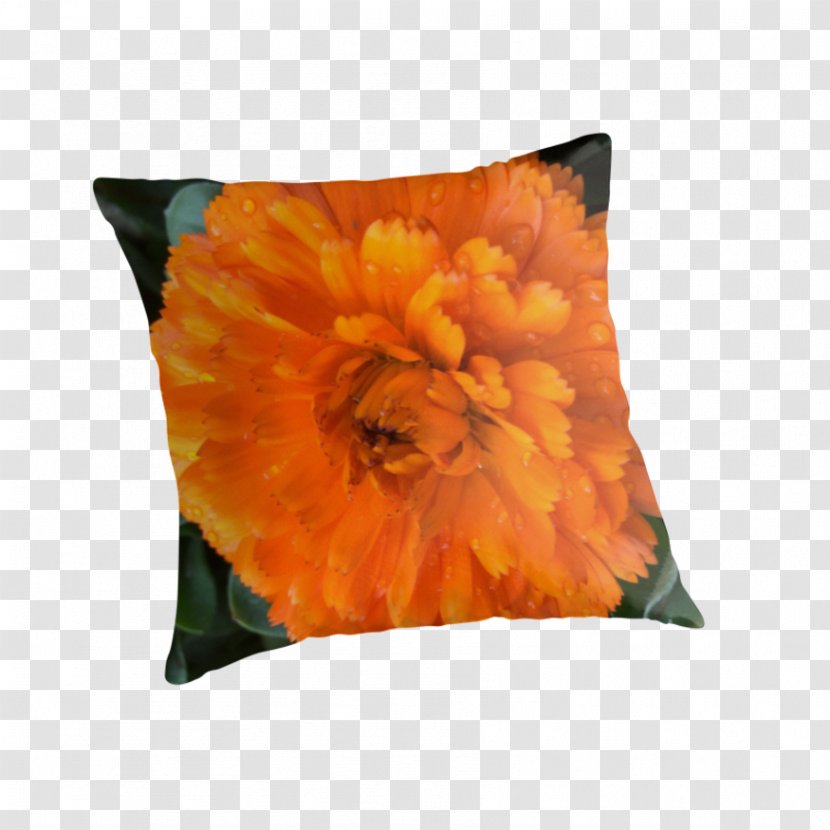 Throw Pillows Cushion Flowering Plant Petal - Raindrops Material Transparent PNG