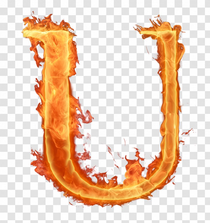 Fire Letter Alphabet U - Organism - Letters Transparent PNG