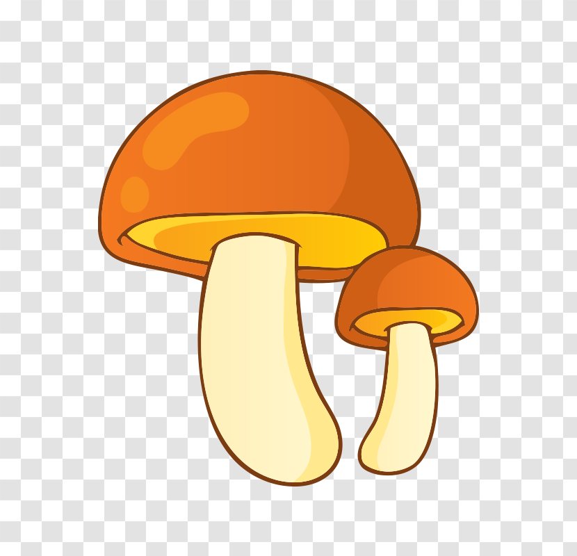 Mushroom Fungus Illustration - Orange - Mushroom,fungus Transparent PNG