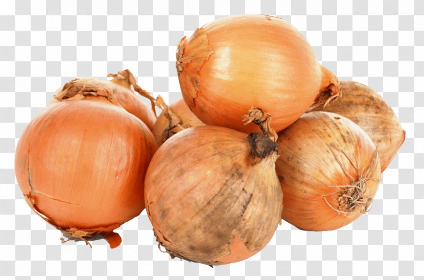 White Onion Shallot Yellow Vegetable - Red Transparent PNG