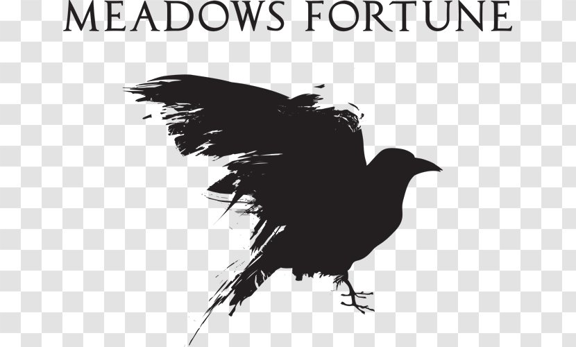 Crow Common Raven - Art Transparent PNG