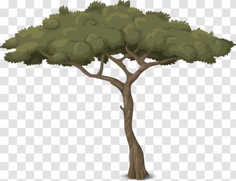 Tree Arborist Trunk Botany Garden Transparent PNG