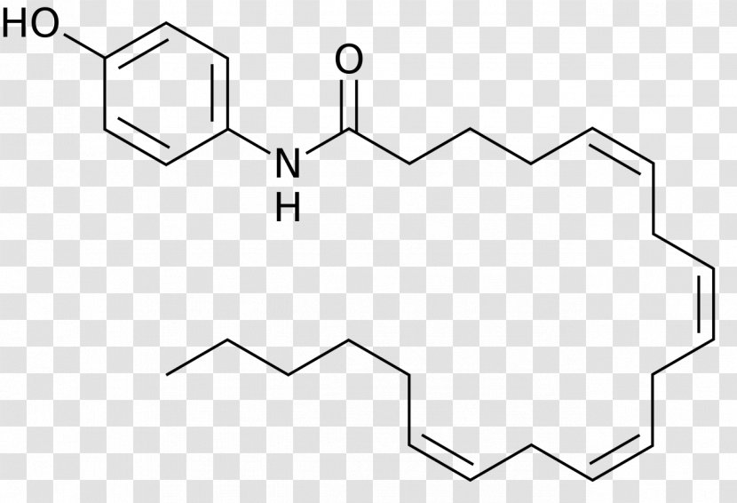 Acetaminophen Antipyretic Analgesic Pharmaceutical Drug Tylenol - Frame - 404 Transparent PNG