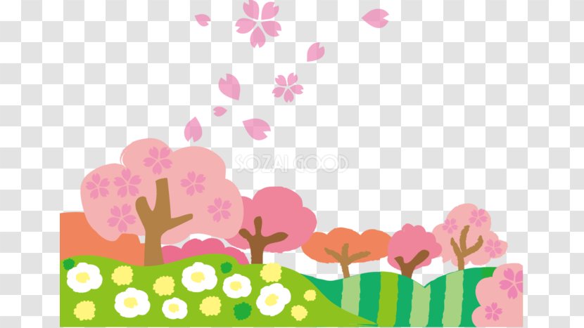Spring Cherry Blossom Image Hanami Illustration - Magenta - Flowering Plant Transparent PNG