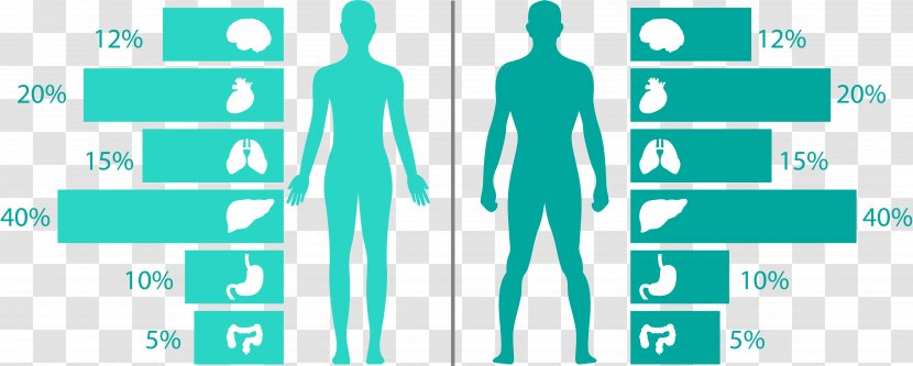 Euclidean Vector Human Body Information Health - Flower - Map Transparent PNG