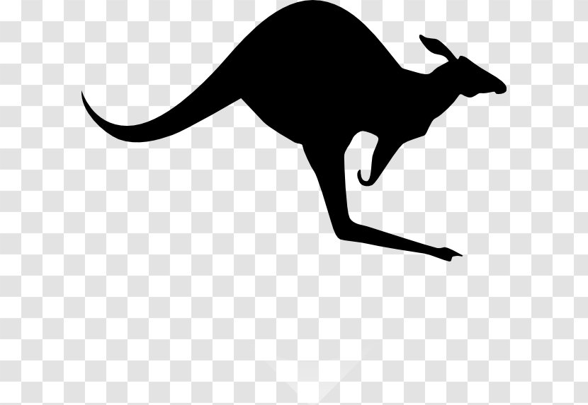Koala Red Kangaroo Clip Art - Cat - Kangaroos Cliparts Transparent PNG