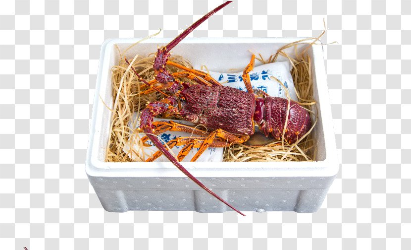 Australia Lobster Take-out Seafood Palinurus Elephas - Gastronomy - Packaged Transparent PNG