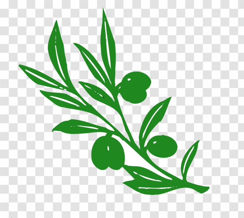 Olive Branch Clip Art - Leaves Cliparts Transparent PNG