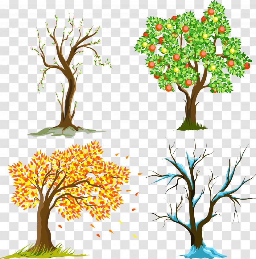 Tu B'Shevat Tree Of Life Hebrew Calendar - Woody Plant - Seasons Transparent PNG