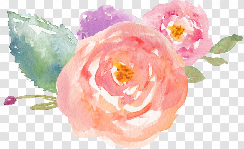 Logo Watercolor Painting Clip Art - Paint - Roses Transparent PNG