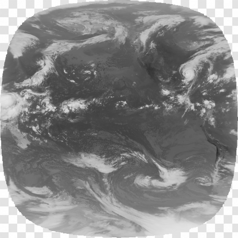/m/02j71 Earth Black - Flower - Hurricane Katrina Transparent PNG
