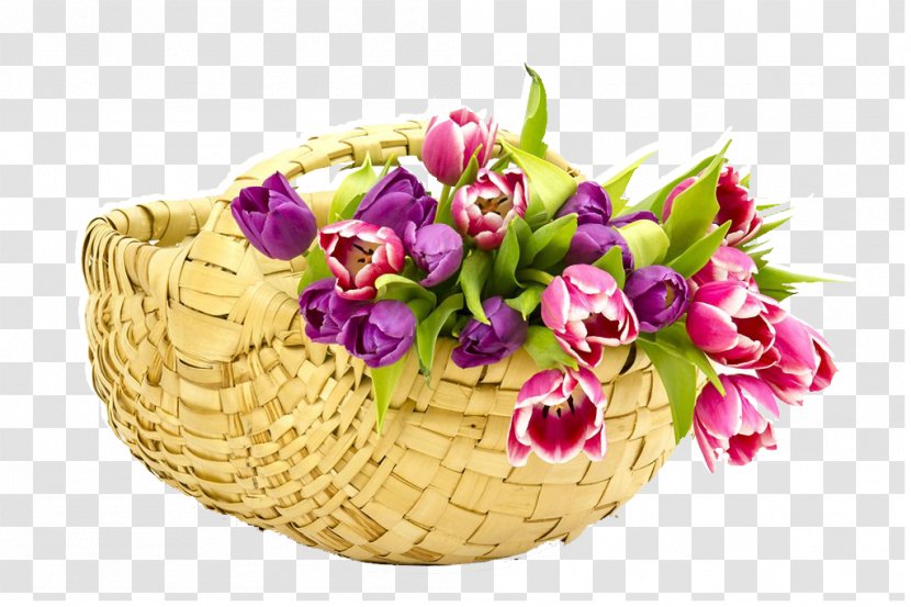 Flower Moes On Ten Gift Complejo Educacional Padre Nicolxe1s Tulip - Fruit - A Basket Of Tulips Pull Material Free Transparent PNG