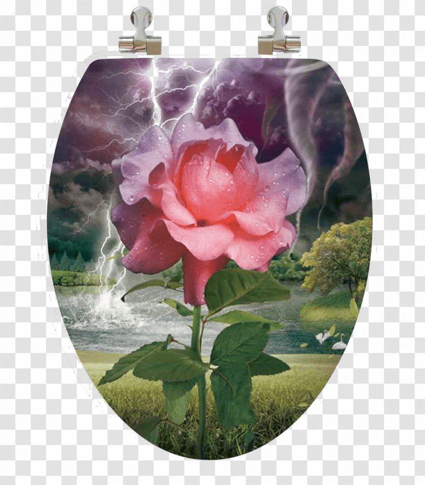 Garden Roses Toilet & Bidet Seats Wood - Holography Transparent PNG