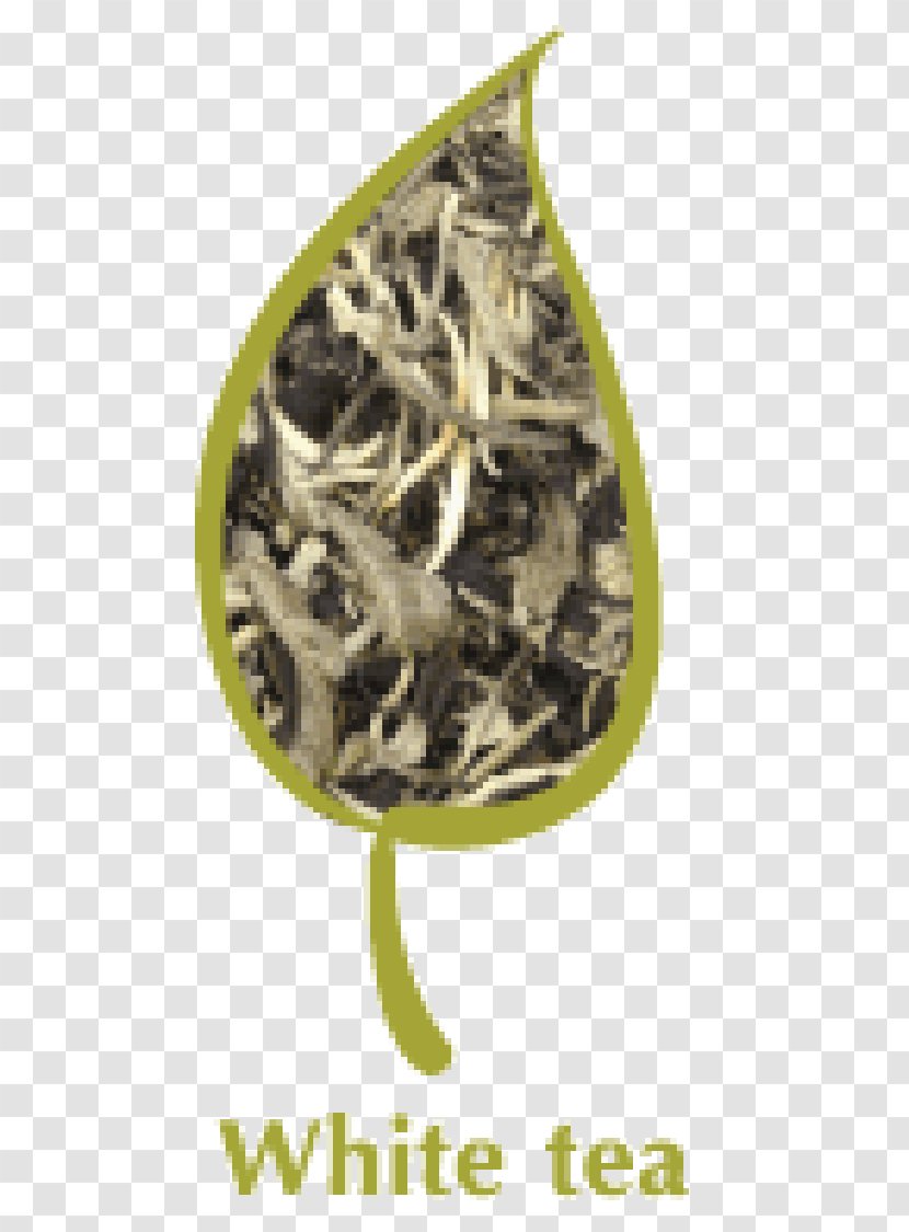 White Tea Green Bubble Oolong - Fuding Transparent PNG