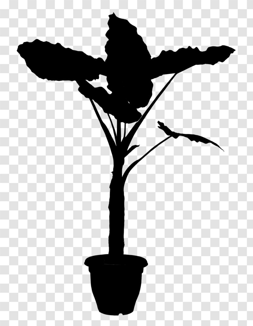 Plants Flowering Plant Stem Clip Art - Branch - Botany Transparent PNG