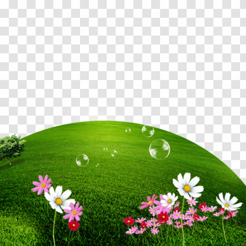 Earth Green Computer File - Wildflower - Creative Grass Transparent PNG