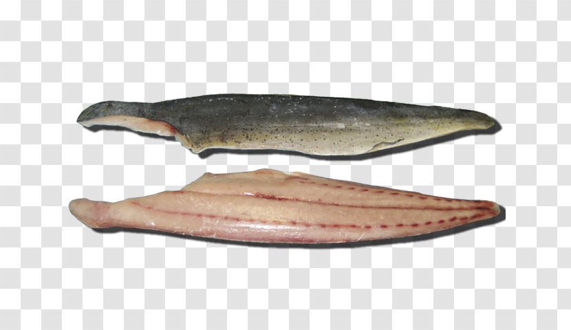 Salmon Fish Products 09777 Oily Capelin - Mahi-mahi Transparent PNG