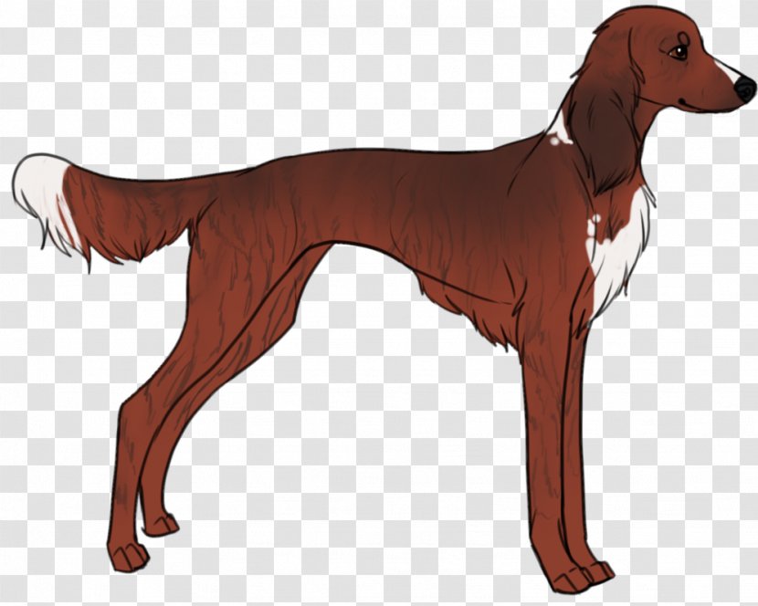 Longdog Saluki Golden Retriever Sloughi Azawakh - Dog Breed Transparent PNG